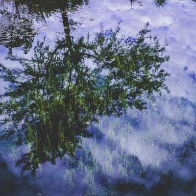 小米14 Pro 徕卡光学 Summilux镜头